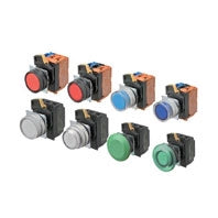 A22NN-RPM-NRA-P100-NN